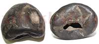 Shaligram 10717 125gm